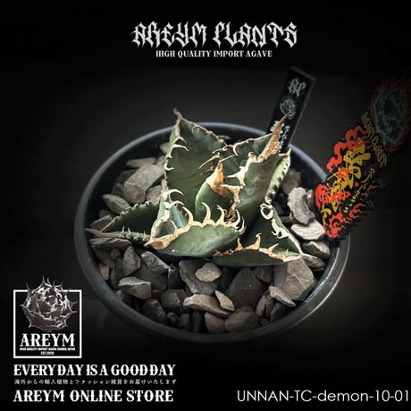 悪魔くん | STORES