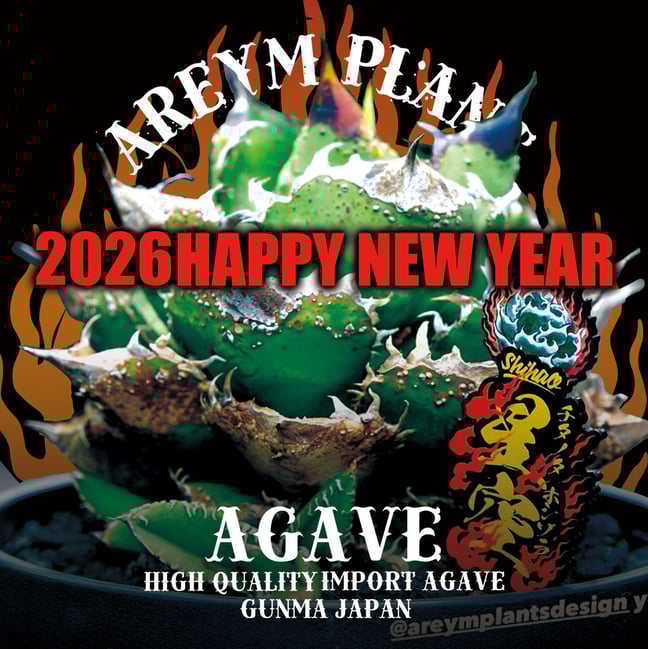 アレイムプランツ