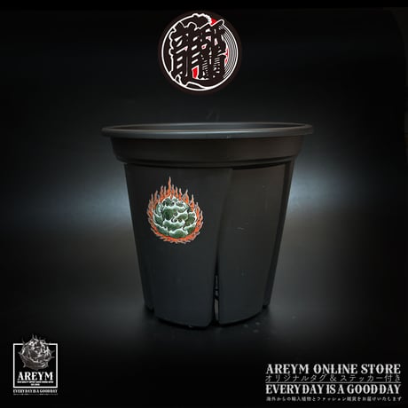 アレイムオリジナルプリント 根っこつよし