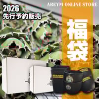 アレイムプランツ