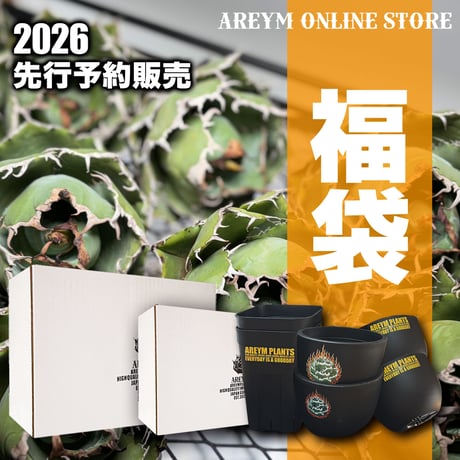 アレイムプランツ