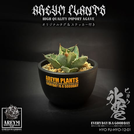 アレイムプランツ