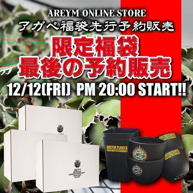 アレイムプランツ