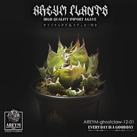 アレイムプランツ