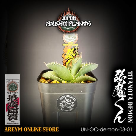 悪魔くん | STORES 悪魔くん | STORES