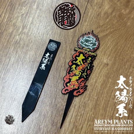 発根済 送料無料 アガベ チタノタ ユニバース 太陽系 Agave titanota Universe ARM-UNI-05-01