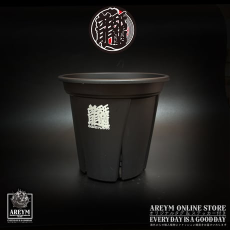 アレイムオリジナルプリント 根っこつよし