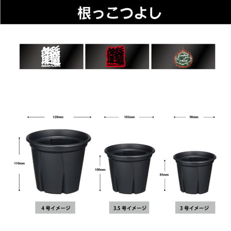 アレイムオリジナルプリント 根っこつよし