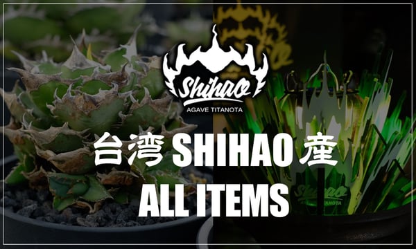 アレイムプランツ