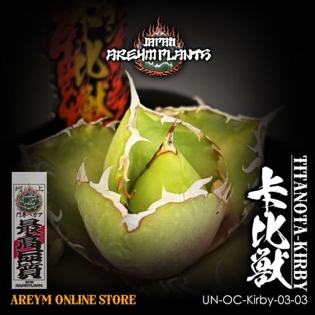 カビゴン | STORES カビゴン | STORES