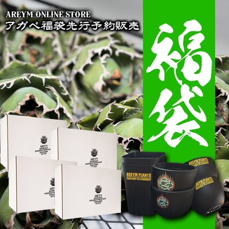 アレイムプランツ