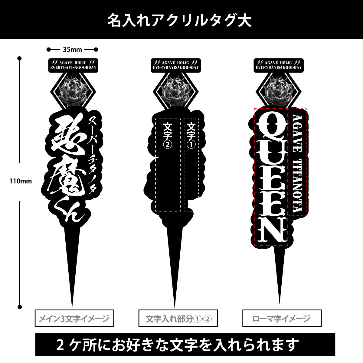 リトルファーン　タイ株　スポア　タグ付き 名入れ商品 オリジナル植物タグ大 アクリル製 | アレイムプランツ