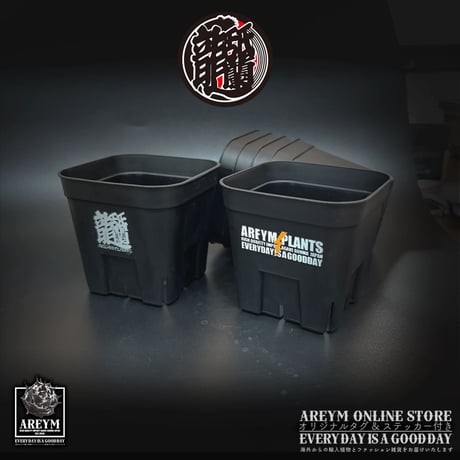 アガベ鉢 | STORES