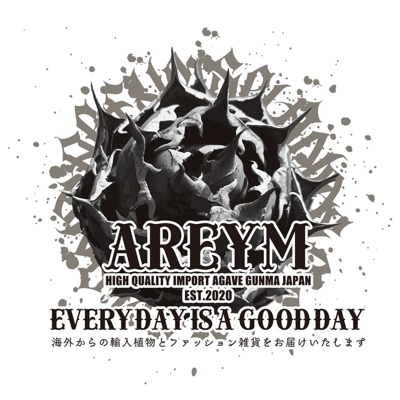 アレイムプランツ