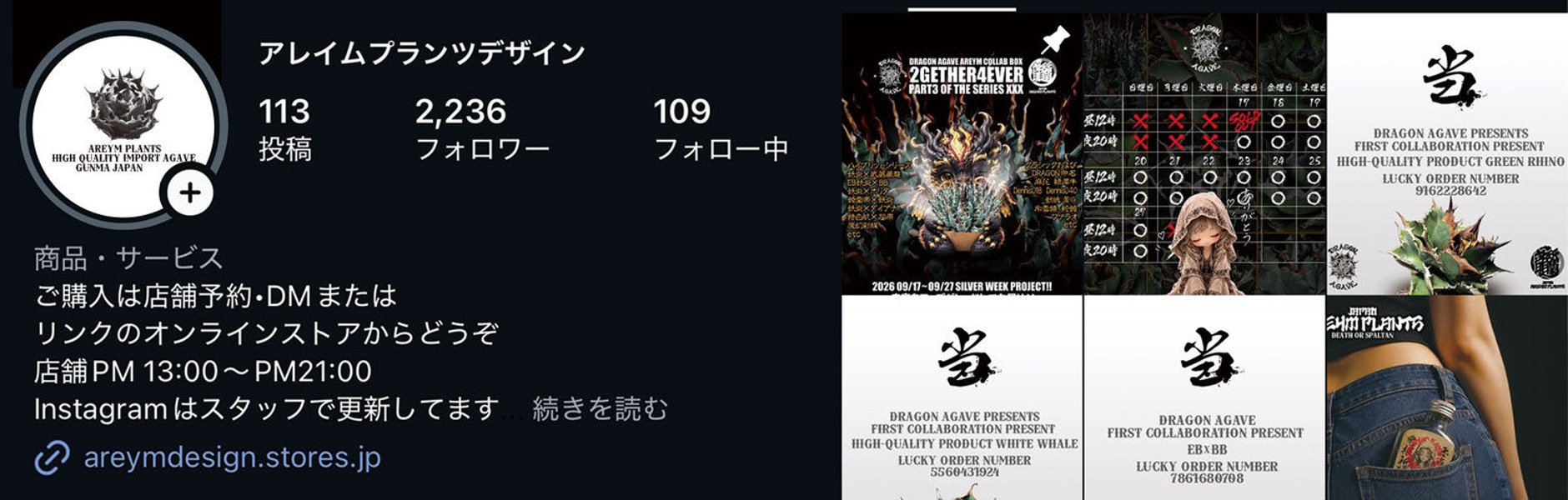 アレイムプランツ