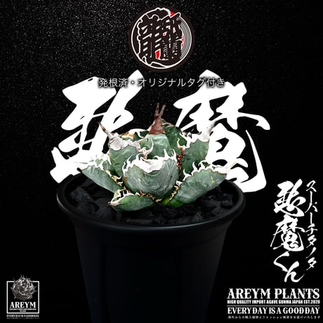 悪魔くん | STORES