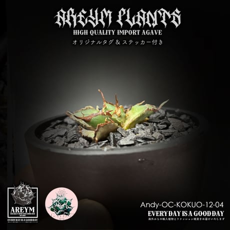 アレイムプランツ