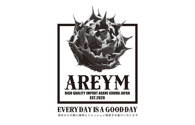 アレイムプランツ