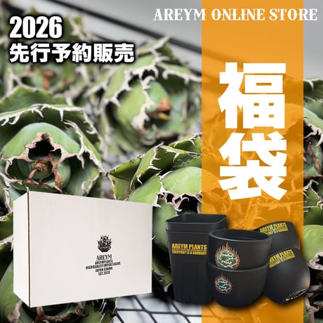 アレイムプランツ