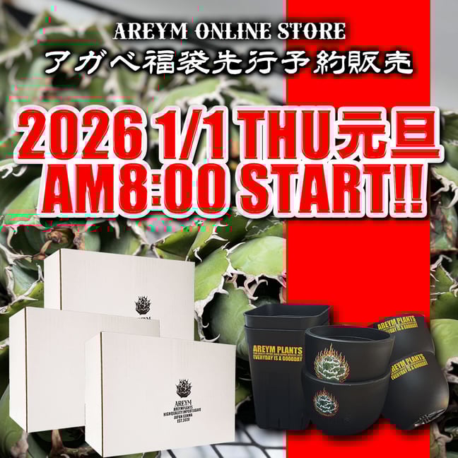 アレイムプランツ