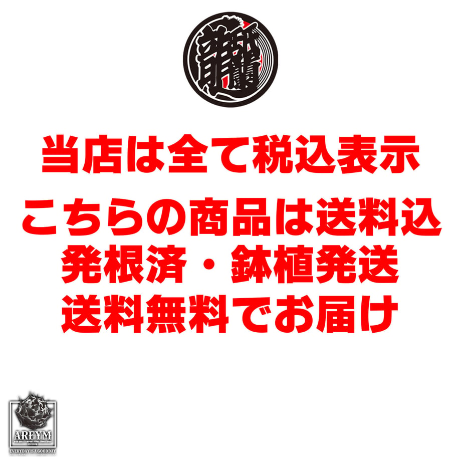 6a165e5cdb4bc1613ca26c8e