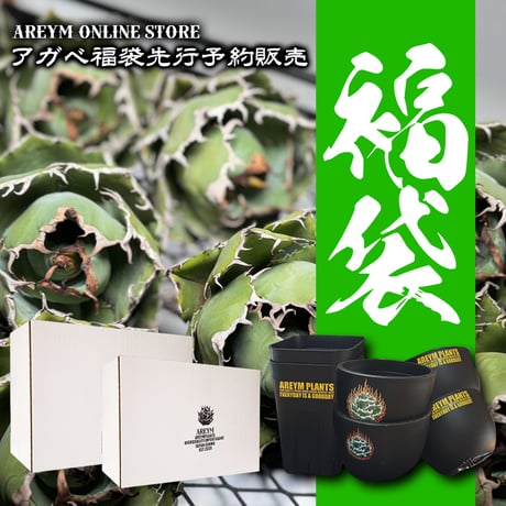 アレイムプランツ