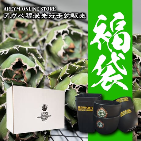 アレイムプランツ