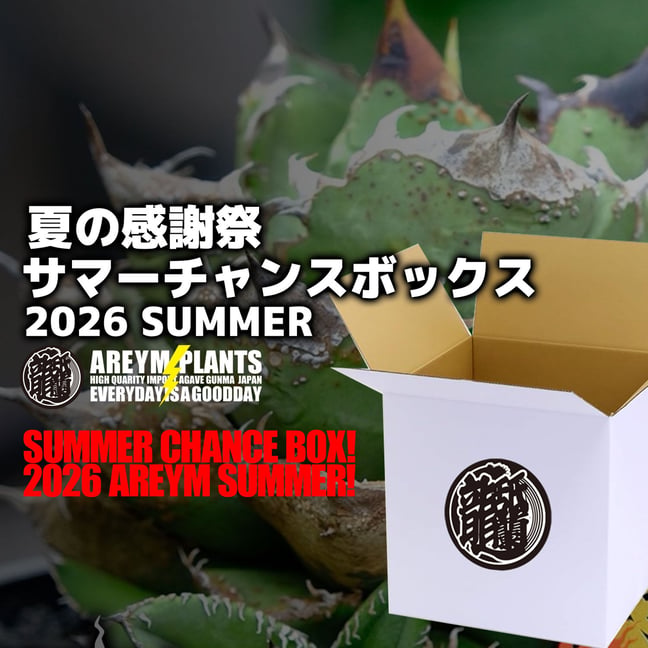 アレイムプランツ