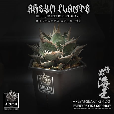 アレイムプランツ