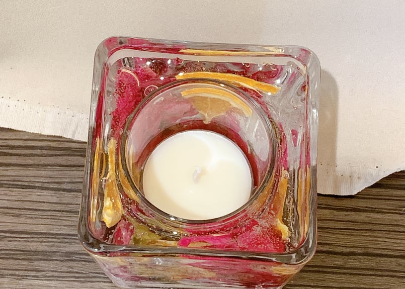 ブウゲンビリア小品盆栽 ブーゲンビリア キャンドル ブーゲンビリア