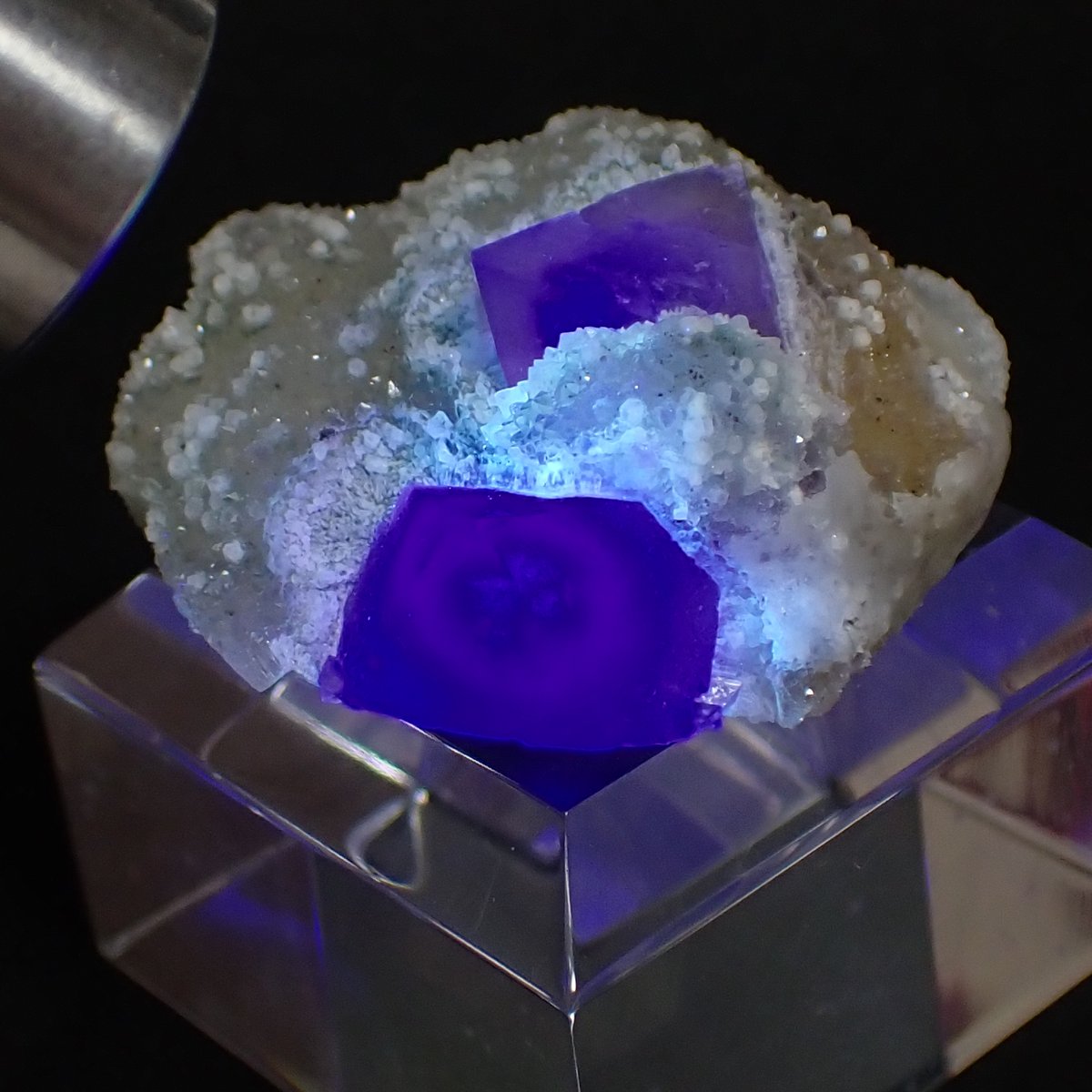 中国浙江省産 フローライト 天然八面体結晶 | 今林商店