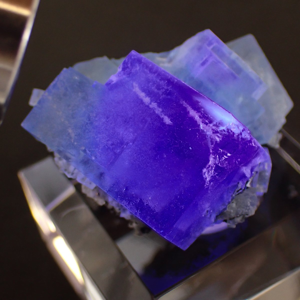 【47g】中国 ヤオガンシャン産 ブルーパープルフローライト 煙水晶共生 47g】中国 ヤオガンシャン産 ブルーパープルフローライト 煙水晶