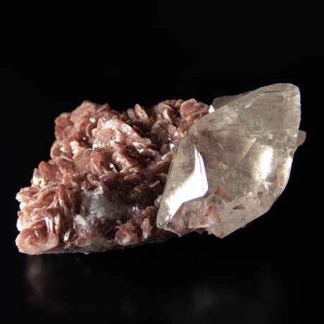 ゴールデンカルサイト | STORES