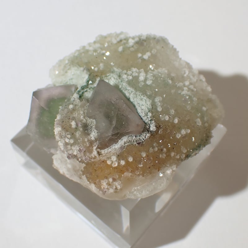 中国浙江省産 フローライト 天然八面体結晶 | 今林商店