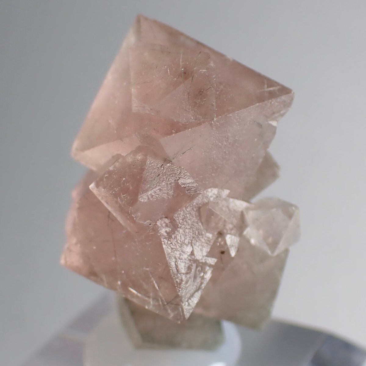 内モンゴル産 ピンクフローライト 天然八面体結晶 | 今林商店 内モンゴル産 ピンクフローライト 天然八面体結晶 | 今林商店