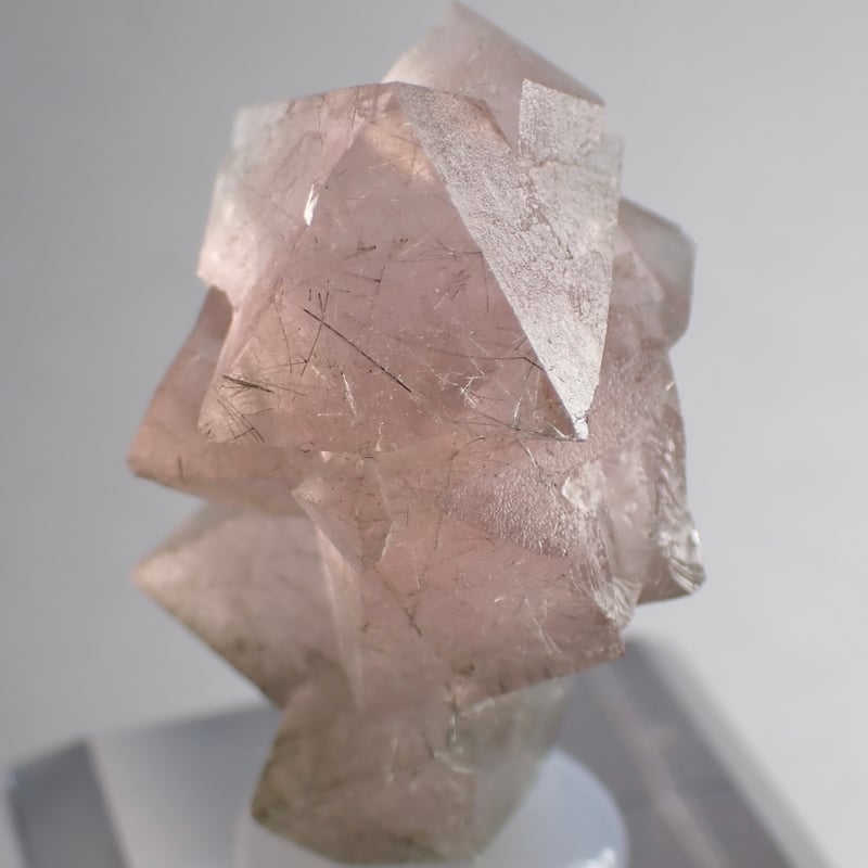 内モンゴル産 ピンクフローライト 天然八面体結晶 | 今林商店