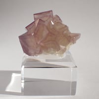 バロチスタン産 フローライト | 今林商店