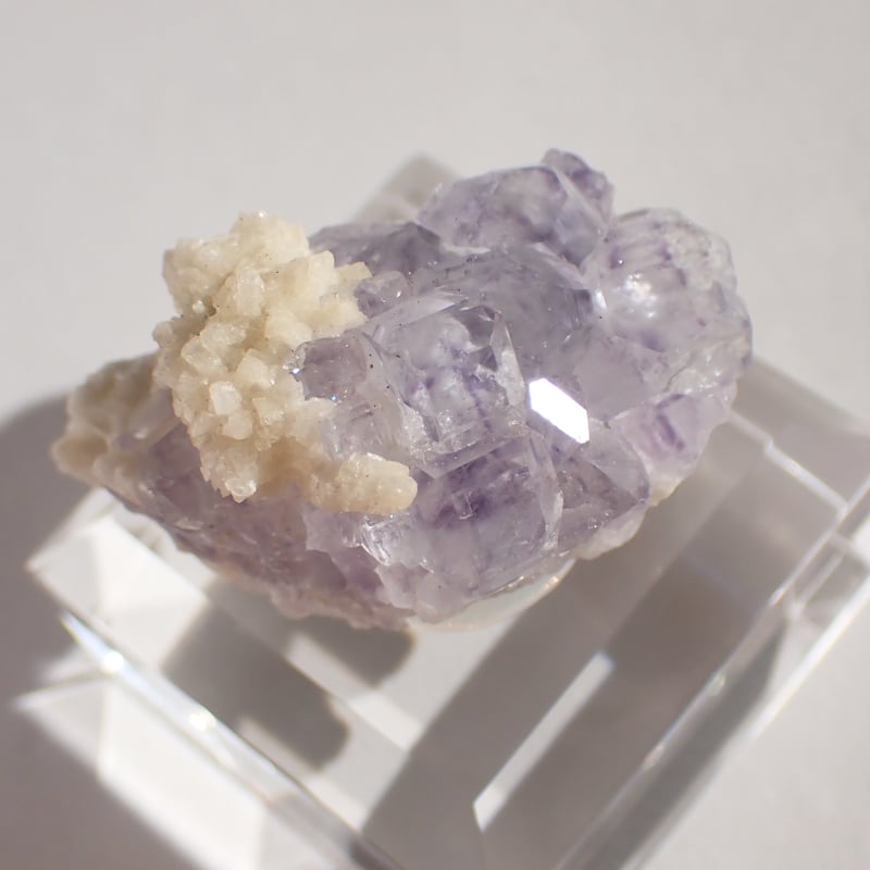 中国シャンファーリン産 フローライト ミニクラスター | 今林商店