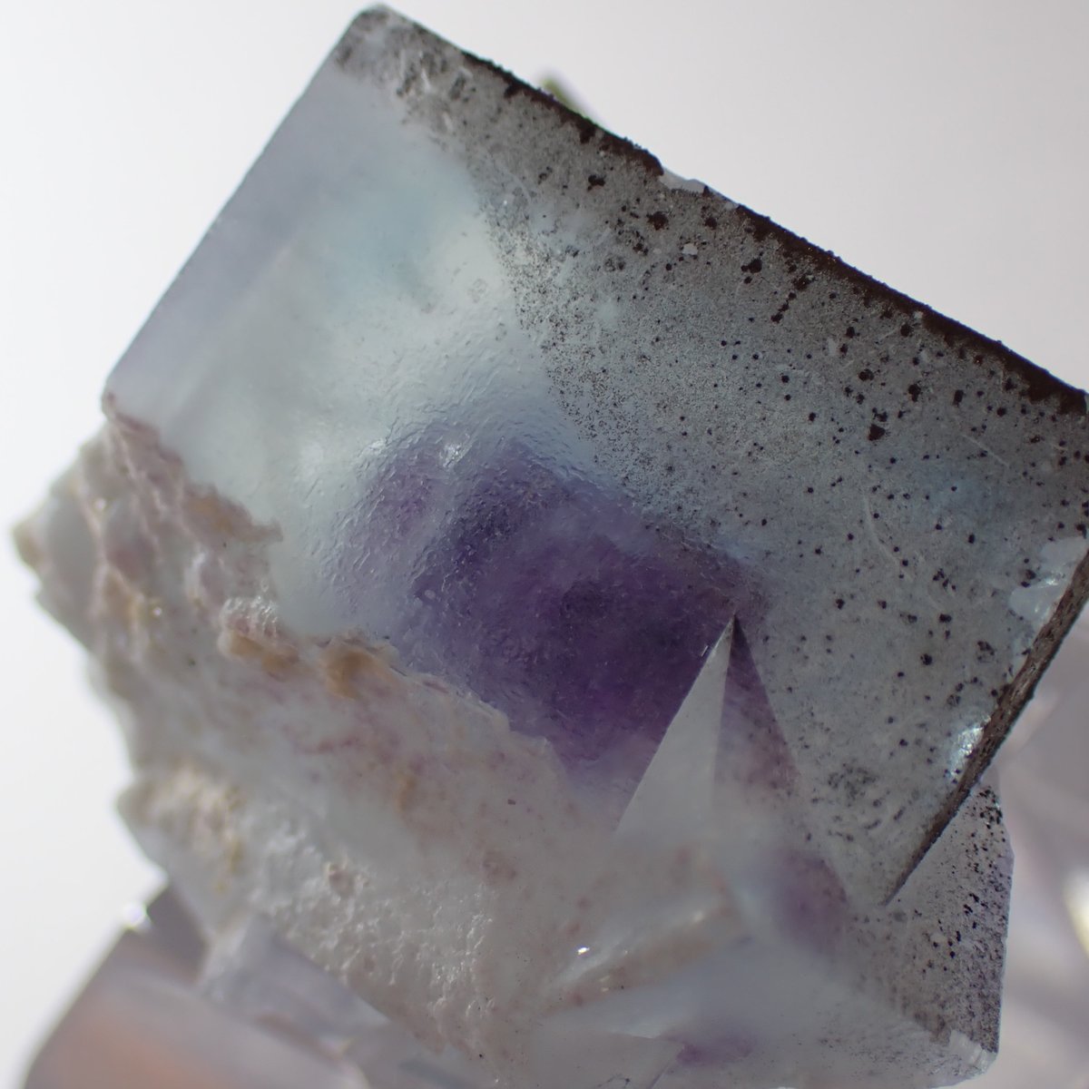 中国ヤオガンシャン産 フローライト双晶 | 今林商店