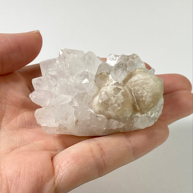 インド産 フローライㇳ球状結晶 水晶共生 | 今林商店 インド産 フローライㇳ球状結晶 水晶共生 | 今林商店