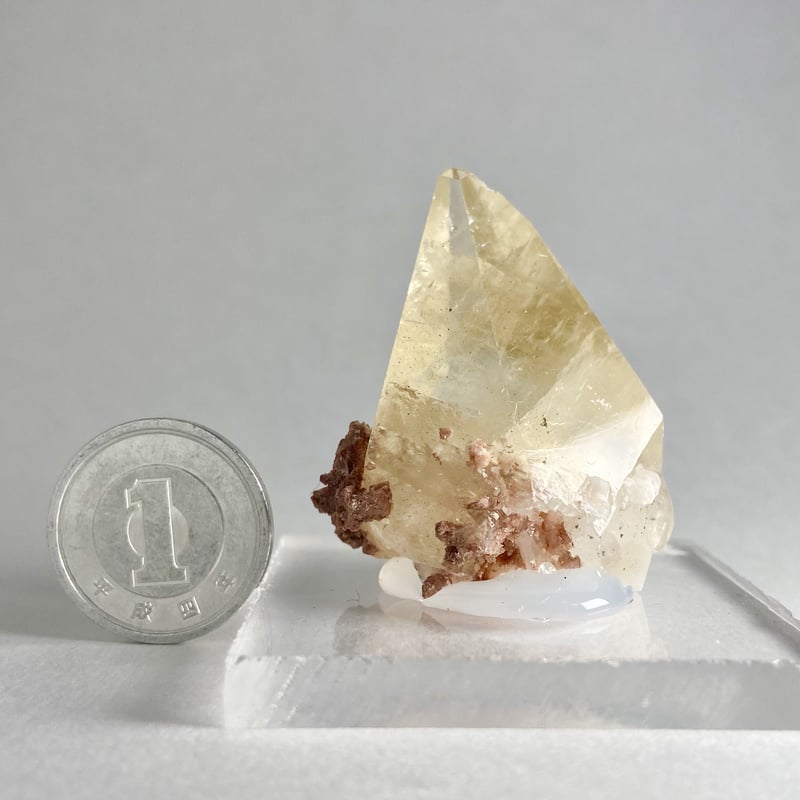 中国湖北省産 ゴールデンカルサイト 犬牙状結晶 | 今林商店