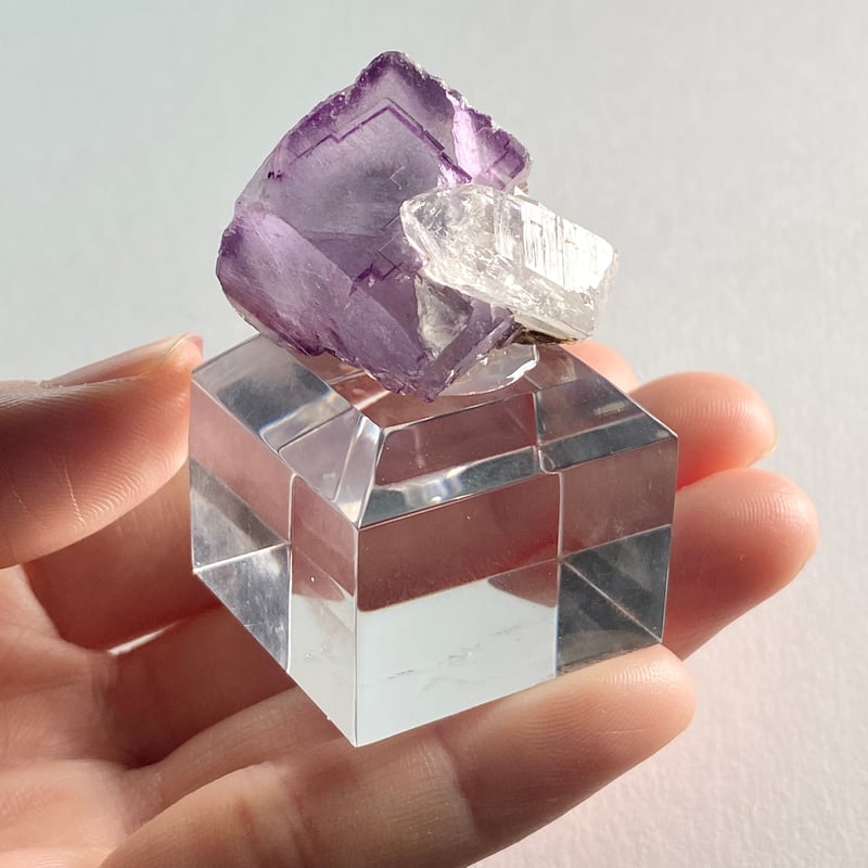 中国 ヤオガンシャン産 フローライト結晶 水晶共生 | 今林商店