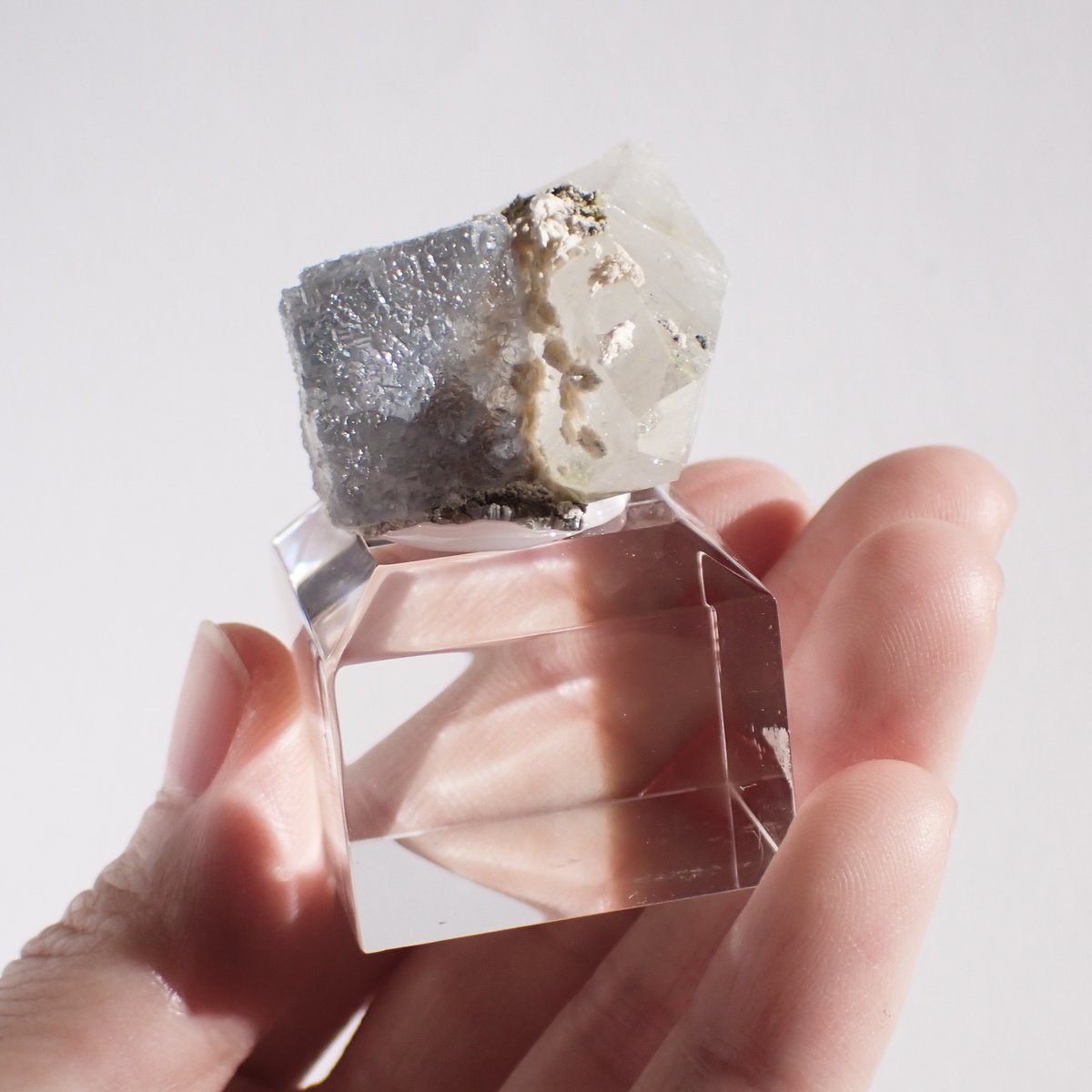 広西チワン族自治区産 フローライト結晶 水晶共生 | 今林商店