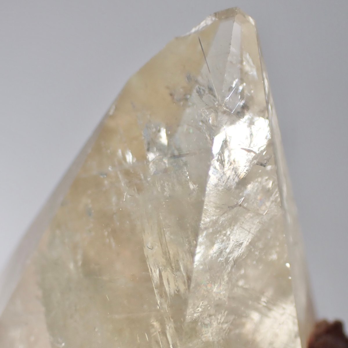 【匿名配送】中国産 ゴールデン犬牙状カルサイト 匿名配送】中国産 ゴールデン犬牙状カルサイト 【公式通販】