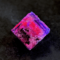 中国浙江省産 フローライト 水晶共生 | 今林商店