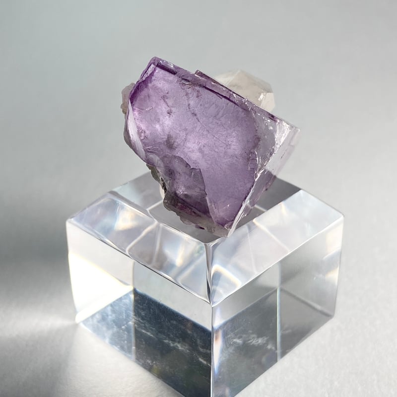 中国 ヤオガンシャン産 フローライト結晶 水晶共生 | 今林商店