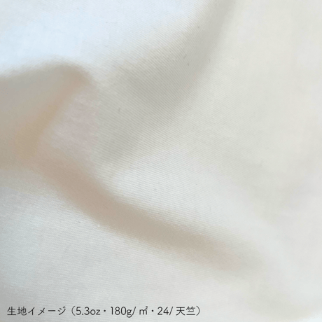 【終了しました】E24-05 おにぎり王国（表現万博●×▲オーガニックコットンTシャツ：2月発送分）
