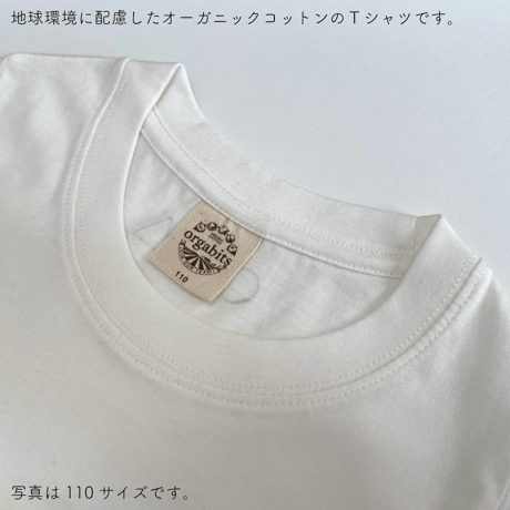 【終了しました】E24-08 人と意思（表現万博●×▲オーガニックコットンTシャツ：2月発送分）