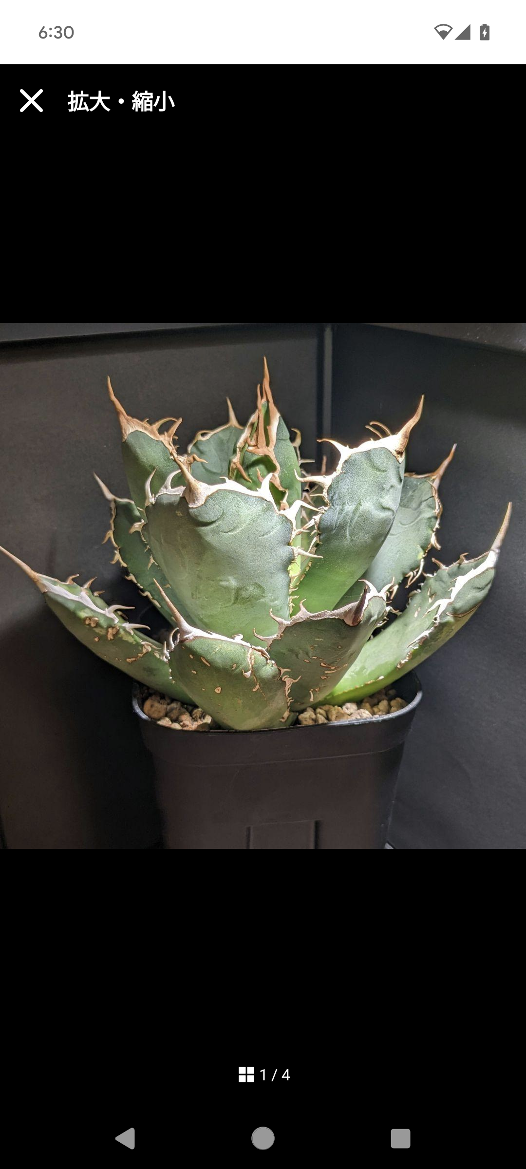 fit=scale-down,w=1200