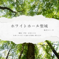 【定期便】ホワイトホール聖域